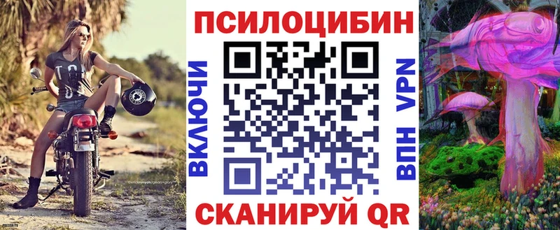 Галлюциногенные грибы Psilocybine cubensis  Купить  Строитель 